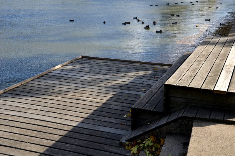 Pond Dock Construction in Denver County, CO